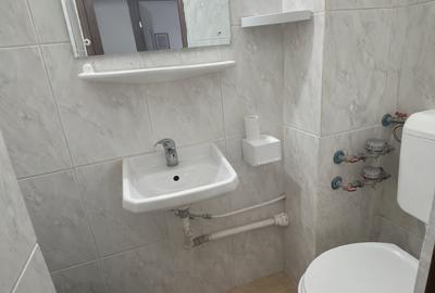 Apartament cu 3 camere decomandat, mobilat în Trocadero - 9