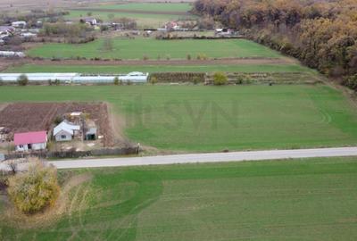 REL4000949 Teren intravilan de vanzare Balta Neagra l Nuci l Codrii Vlasiei