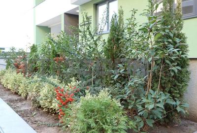 Apartament cu 3 camere semidecomandat în Drumul Taberei - 8