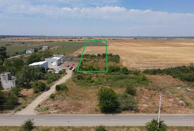 Teren 15000mp Parcelat pt Complex Case Clinceni A0 | Deschidere 50ml - 2