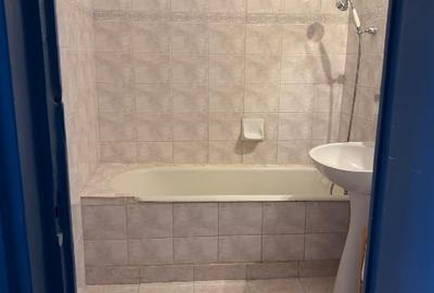 Apartament cu 2 camere semidecomandat, mobilat în Drumul Taberei - 14