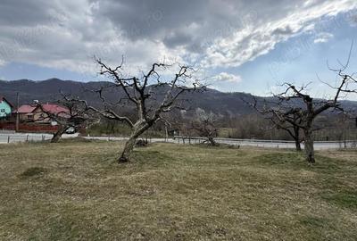 Teren în Micloșanii Mici - 7