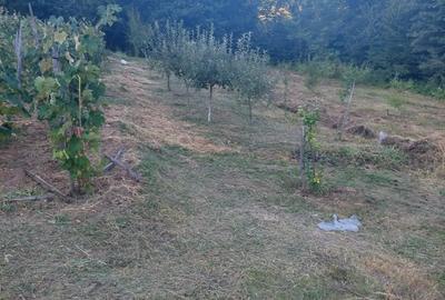 Teren în Popești - 2