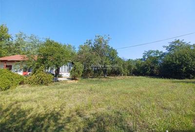 Casa Bila Ghimpati- Giurgiu - 7