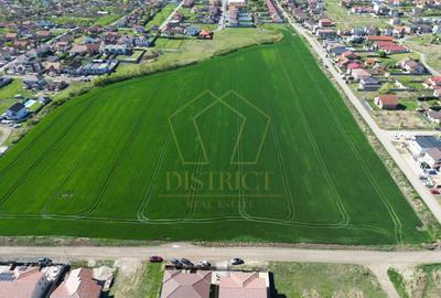 Teren Construcții intravilan de 7540 mp, în Dumbrăvița - 4