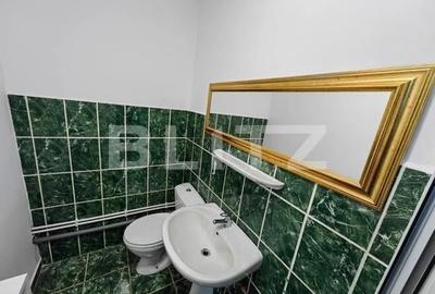 Spatiu comercial , 145 mp zona Cetate -Mercur - 8