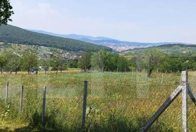 Teren extravilan de 1000 mp, situat pe strada Ghinzii - 6