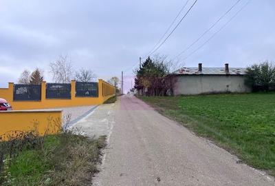 Teren agricol intravilan de 5000 mp, în Comana - 3