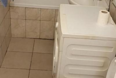 Apartament cu o camera Calea Lipovei - 4