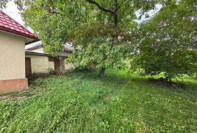 Casa traditionala De Vanzare cu 5 Hectare de teren - 7