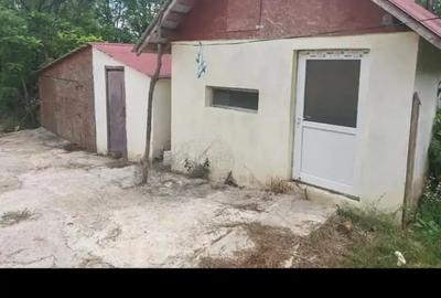 Casa de vanzare in Dumeni - 5