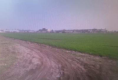 Berceni-Sector 4 , Bucuresti-Teren Intravilan - 4