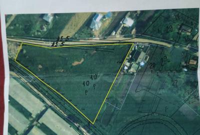 Spațiu comercial, în Răchiți - 3