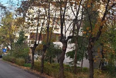 Apartament cu 3 camere semidecomandat în Sud - 4