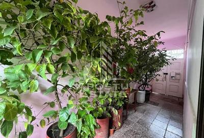 Casa cu 3 camere, curte comuna, posibilitate mansardare, zona Crisan