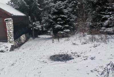 Teren de 1800 mp, în Central - 5