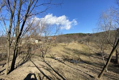 Teren Valcanesti între Comarnic și Valenii de Munte - 14