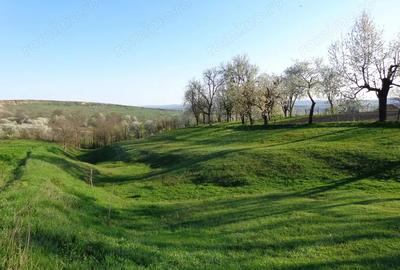 Casa cu anexe si teren - 8