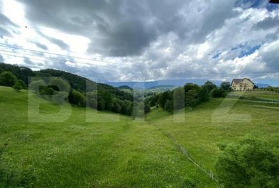 Casa cu potential turistic, 380 mp, FUNDATA - 23