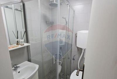Apartament cu 1 camere in zona 1 Mai - 12