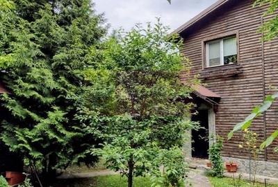 Vila de vanzare in Brebu - Zona Brebu Manastirei - 20