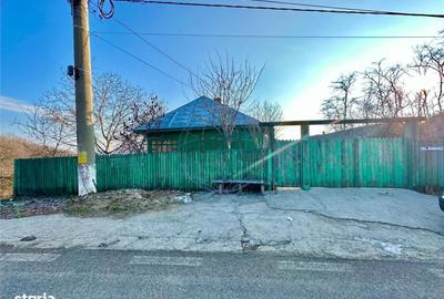 Casă cu 3 camere cu Teren 6856 Mp în Dumitrești - 5