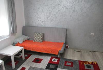 Casa renovata cu 2 corpuri si gradina in Caransebes - 5