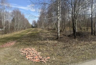 Spațiu comercial, în Drăguș - 5