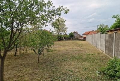 Casă cu 2 camere cu Teren 698 Mp în Cauaceu - 5