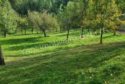 Teren de vanzare in comuna Arefu, sat Arefu, jude? Arge?. - 2