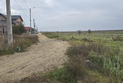 Agigea  Teren cu utilitatii 1 ha cu 500 ml deschidere la strada Crinului - 5