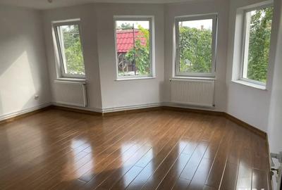 Casa cu mansarda+casa batraneasca in Trifesti Jud. Neamt - 6