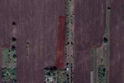 Teren agricol extravilan de 7500 mp, în Lețcani - 2