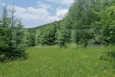 Teren în Scărișoara - 8