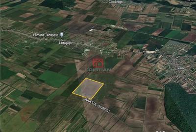 Teren de 235000 mp, în Tărtășești - 2