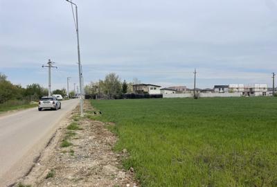 Teren de 11470 mp, în Domnești - 5