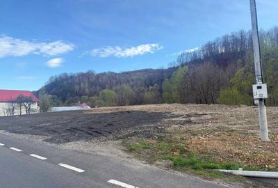 Teren de 1589 mp, în Criva - 6