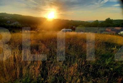 Teren intravilan 1129 mp, PUZ in lucru, in Borhanci - 2