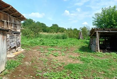 Casa si gradina de vanzare in Dumbrava, com. Unirea, jud. Alba Pre? 60 000 - 4