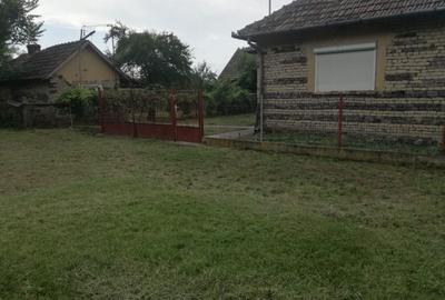 Casă individuală cu 3 camere cu Teren 5000 Mp în Horea - 1