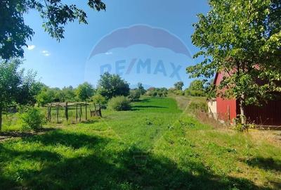 CASA DE VANZARE , Loc.Carastelec  jud. Salaj - oportunitate unica! - 9