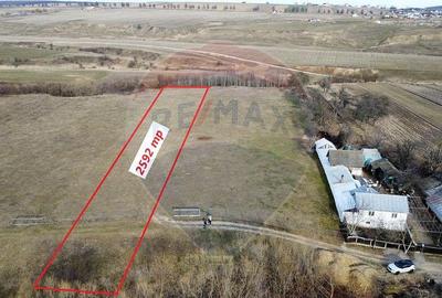 Teren 2925 mp comuna Mitocu Dragomirnei Teren 2925 mp comuna Mitocu Dragomirnei - 1