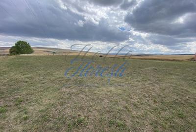 Teren Construcții intravilan de 1833 mp, în Rediu