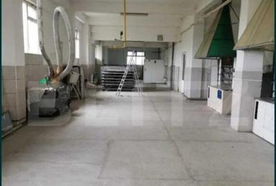 Brutarie S+P+E 600 mp, teren 1679 mp, Filipestii de Padure - 13