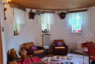 Pensiune, cabana pe malul Bistritei ,Suceava, Chiril - 11