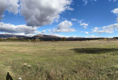 Teren de 800 mp, în Runcu - 1