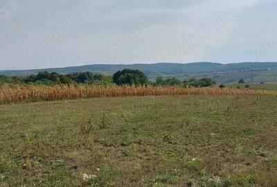 Teren de 18000 mp, în Drăgești - 2
