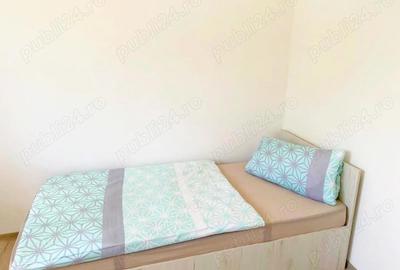 Casă cu 6 camere în Buziașului - 19