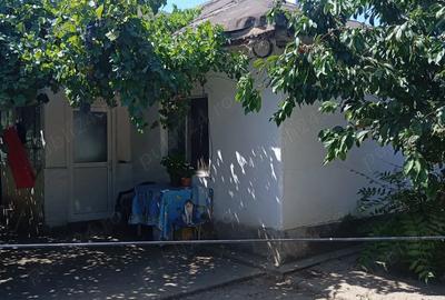 Casa cu curte si gradina suprafata totala 250mp - 4