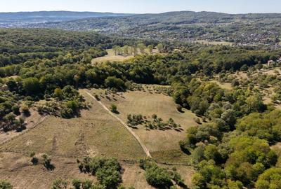 Terenuri 12.225 mp - Ramnicu Valcea, Aranghel - 2